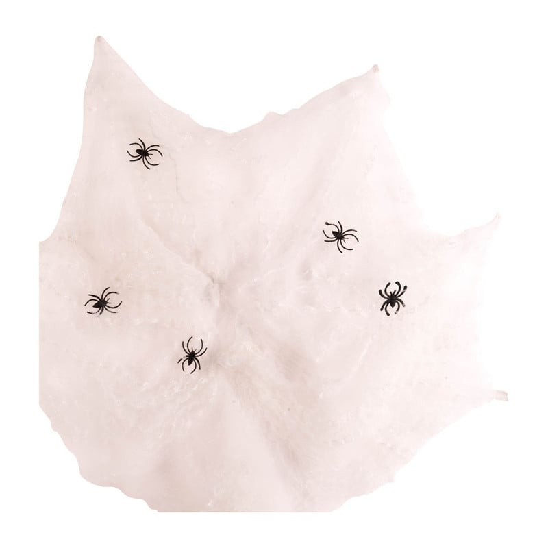 Spinnenweb met 5 spinnen 