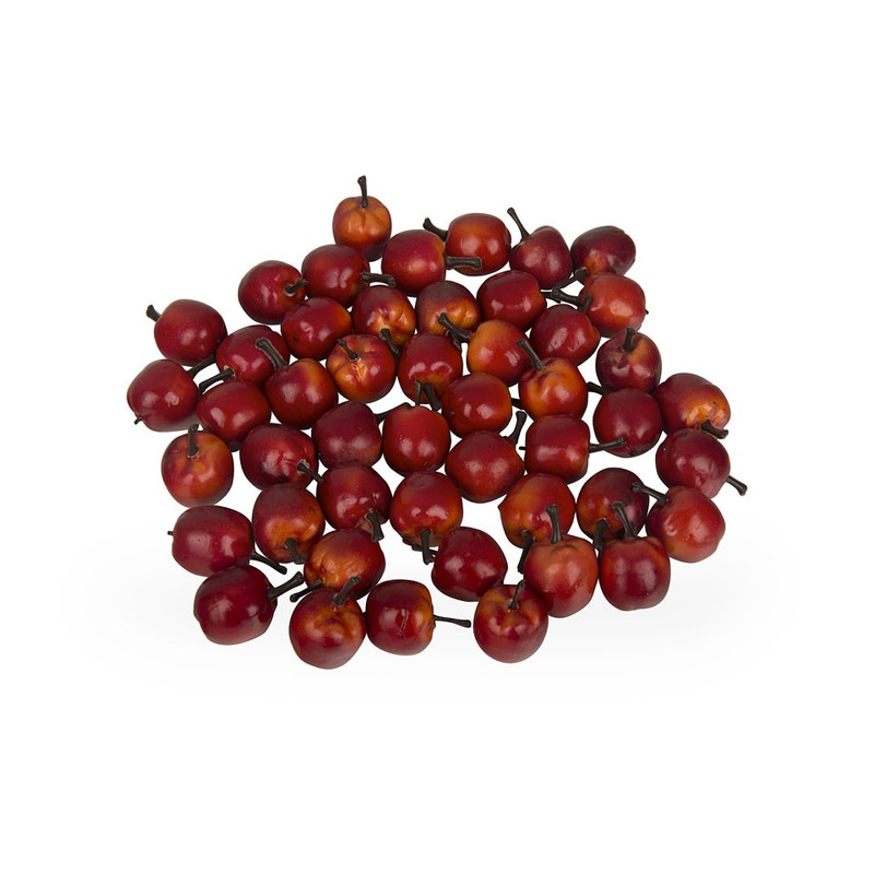 Appeltjes 48 stuks 