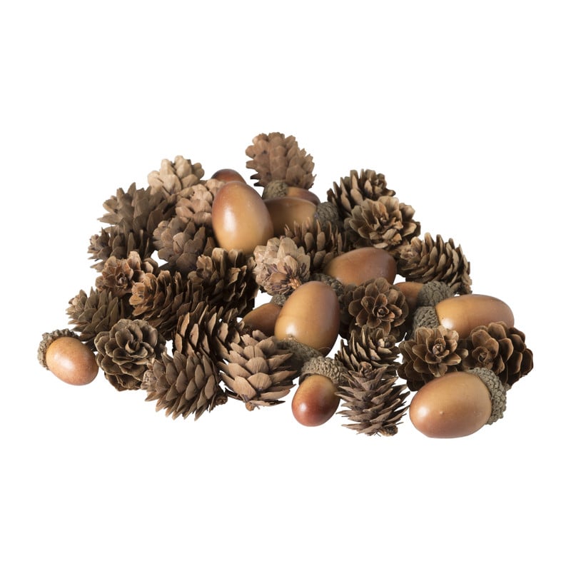 Dennenappel eikel - mix 