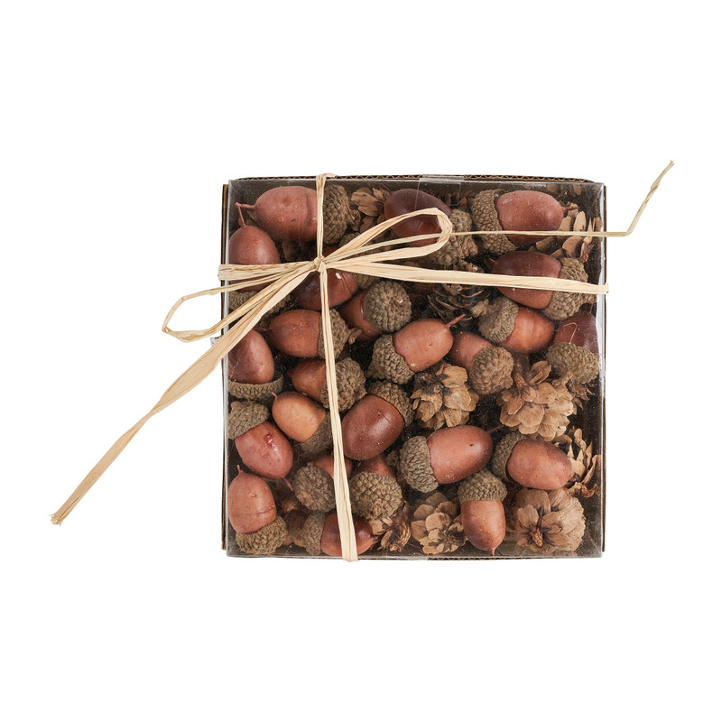 Dennenappels en eikels 