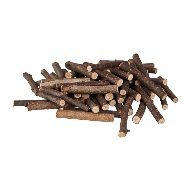 Decoratieve herfst takjes