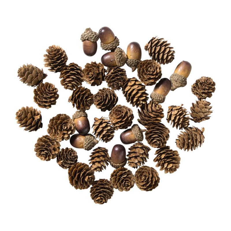 Dennenappel & eikeltjes mix - bruin - set van 20