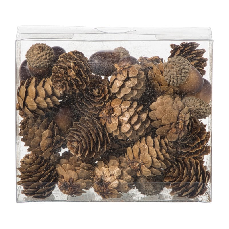 Dennenappel & eikeltjes mix - bruin - set van 20
