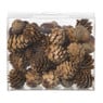 Dennenappel & eikeltjes mix - bruin - set van 20