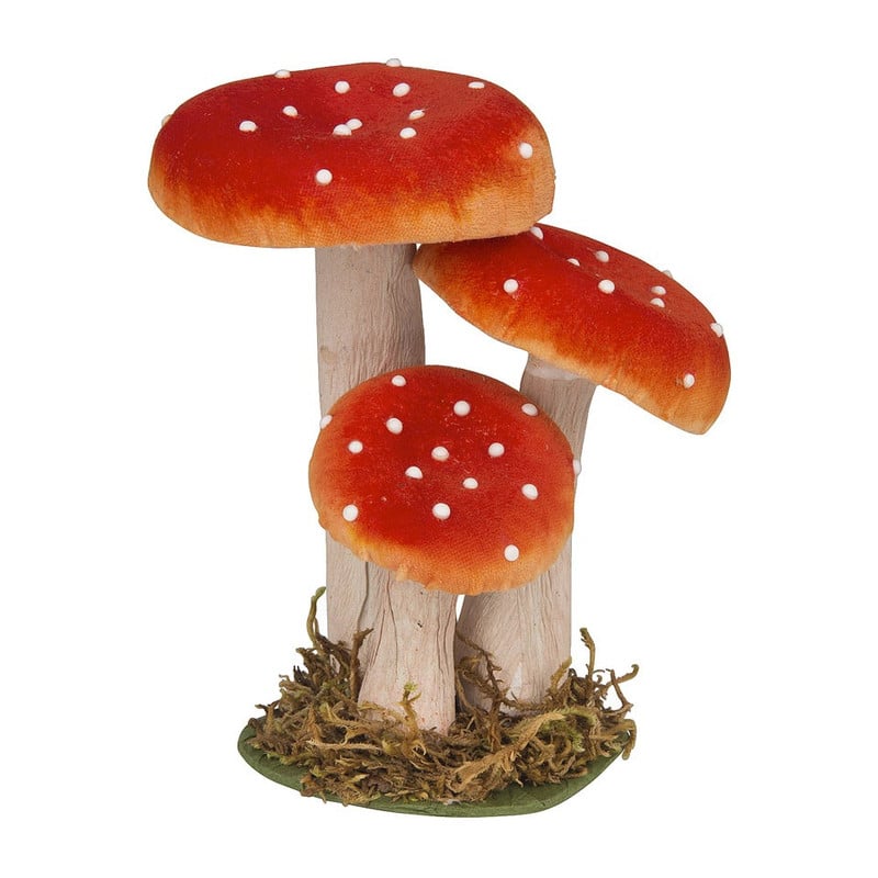 Paddenstoel rood platte zwam