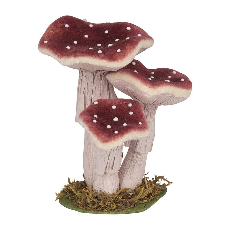 Paddestoel paars