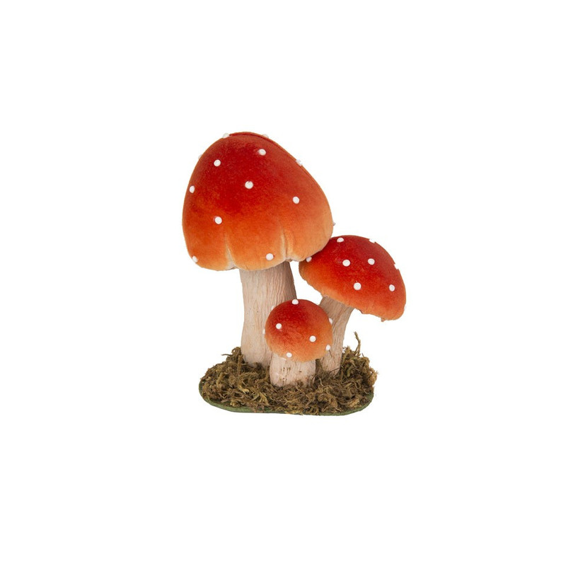 Paddenstoel rood bolle zwam