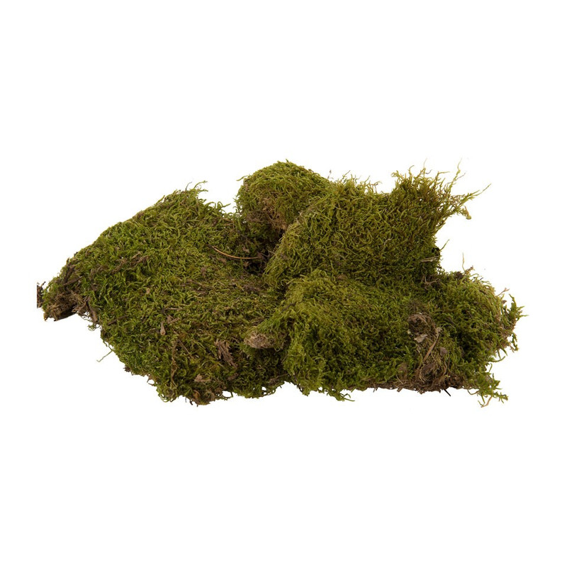 Mos - 80 gram - groen