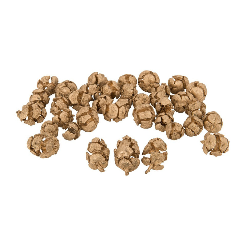 Cypressus goud - 200 gram