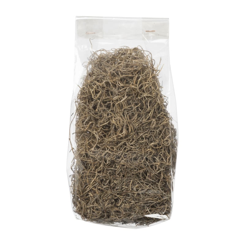 Zakje tillandsia mos - naturel