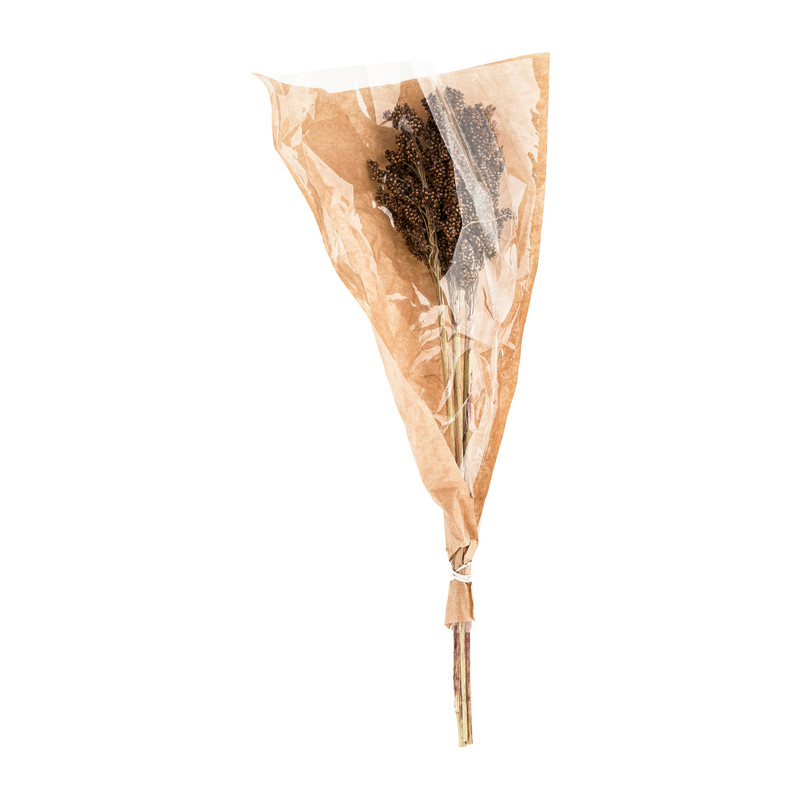Gedroogde bloem - sorghem