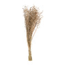 Gedroogde bloem - vlas