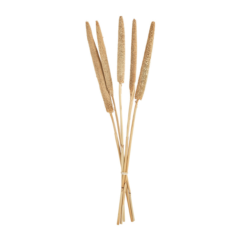 Babala naturel - 70 cm