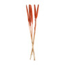 Droogbloem - Babala oranje - 70 cm