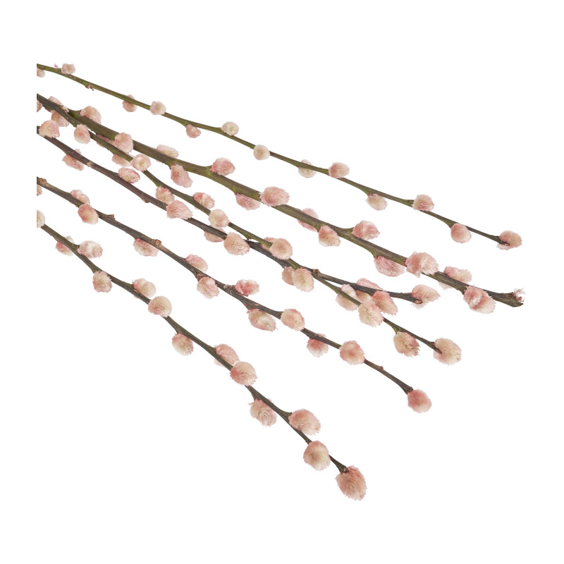 Katjestakken lichtroze - 70 cm