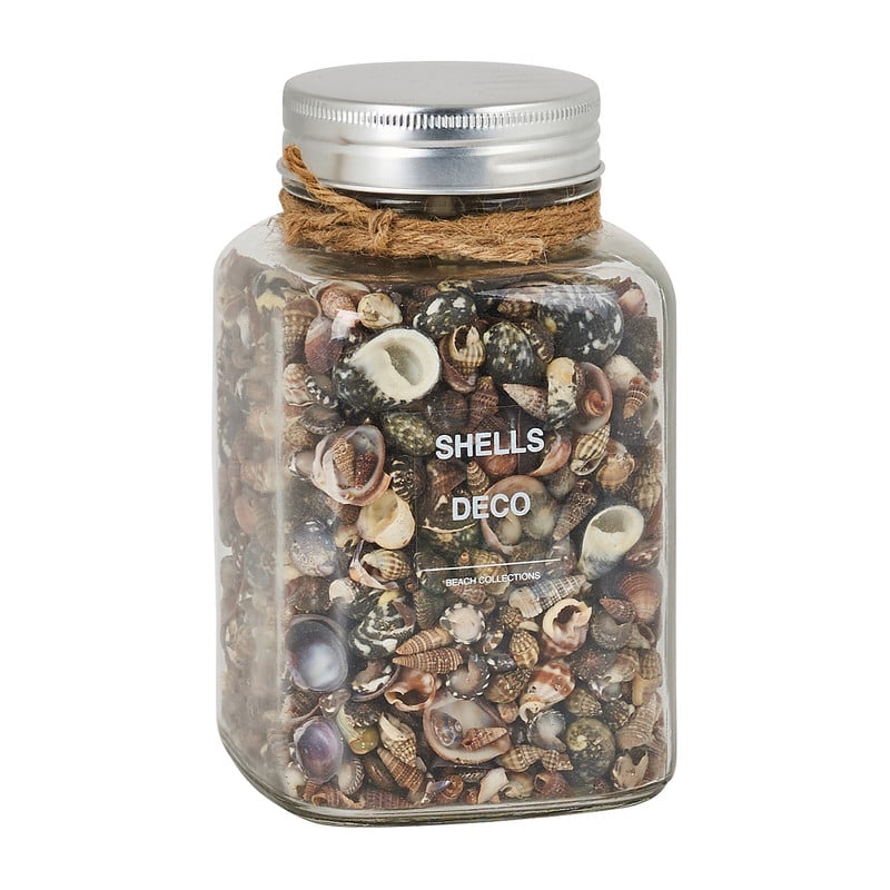 Schelpen in pot - diverse varianten - ⌀9x15 cm 
