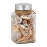 Schelpen in pot - diverse varianten - ⌀9x15 cm 