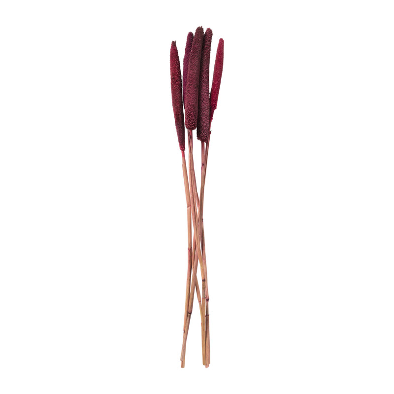 Babala - roze - 70 cm 