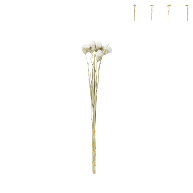 Droogbloemen - diverse varianten - 38 cm