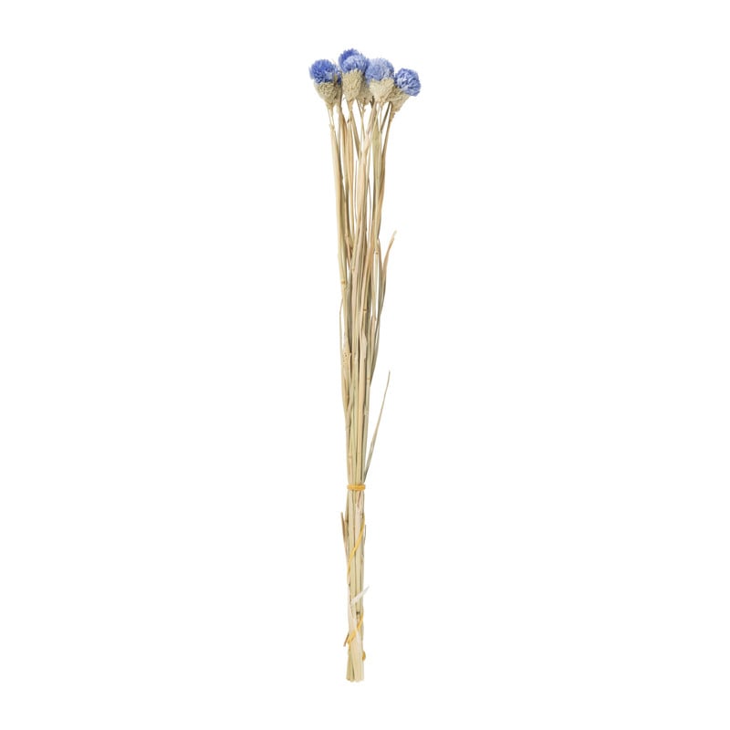 Droogbloemen - diverse varianten - 38 cm