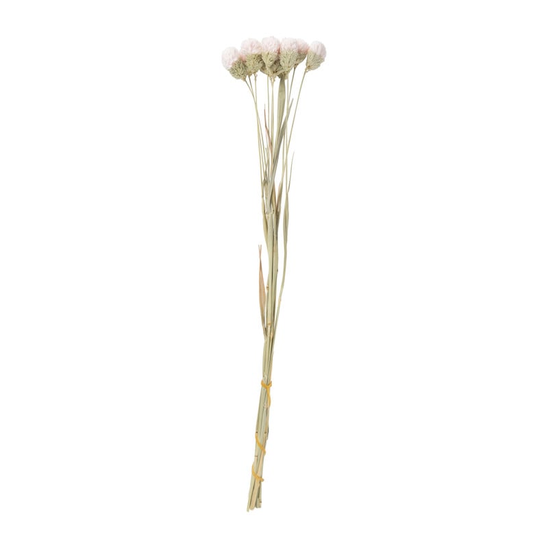 Droogbloemen - diverse varianten - 38 cm
