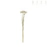 Droogbloemen - diverse varianten - 38 cm