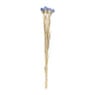 Droogbloemen - diverse varianten - 38 cm