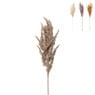 Kunstbloem pampas tak - 80 cm - diverse kleuren
