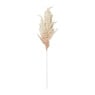 Kunstbloem pampas tak - 80 cm - diverse kleuren