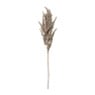 Kunstbloem pampas tak - 80 cm - diverse kleuren