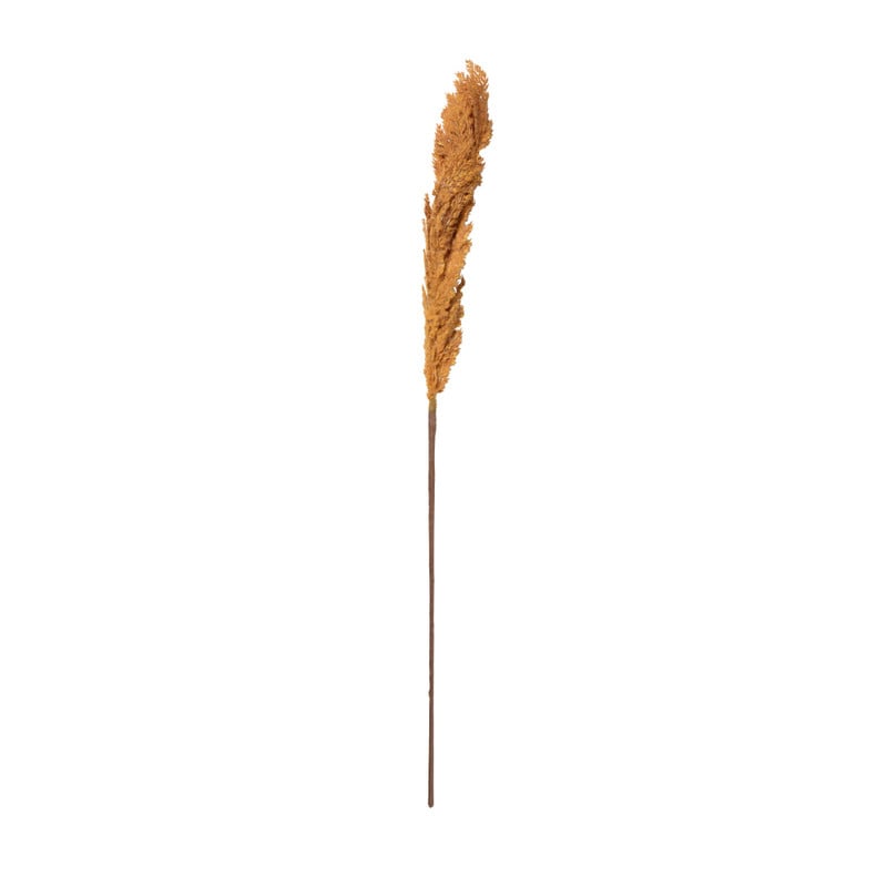 Kunstbloem pampas tak - 81 cm - diverse kleuren
