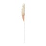 Kunstbloem pampas tak - 81 cm - diverse kleuren