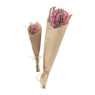 Droogbloem boeket groot - neon - 45 cm