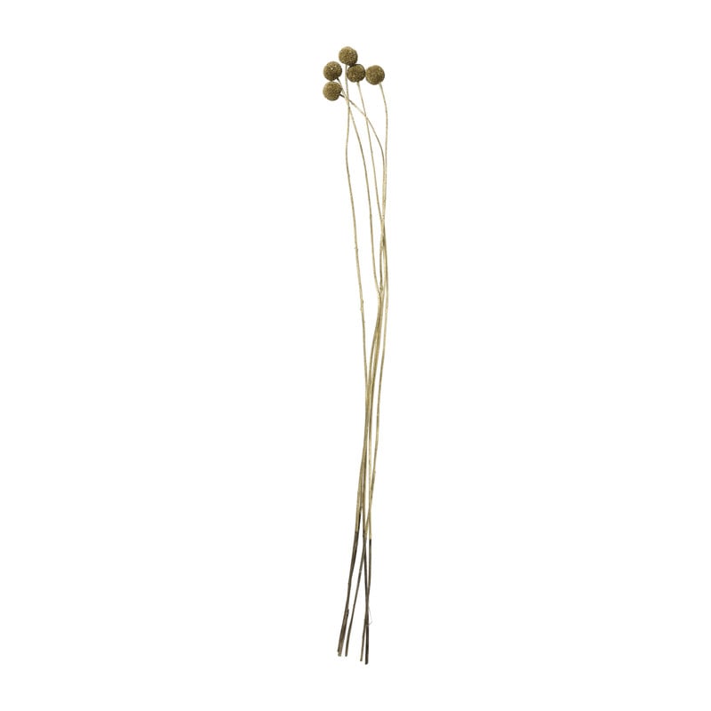 Droogbloem - Craspedia - goud - 60 cm