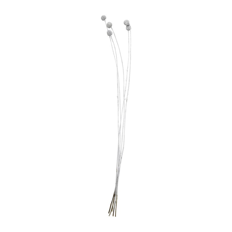 Droogbloem - Craspedia - zilver - 60 cm