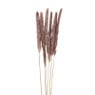 Pluim smal - 6 stuks - 70 cm