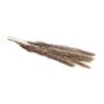 Pluim smal - 6 stuks - 70 cm
