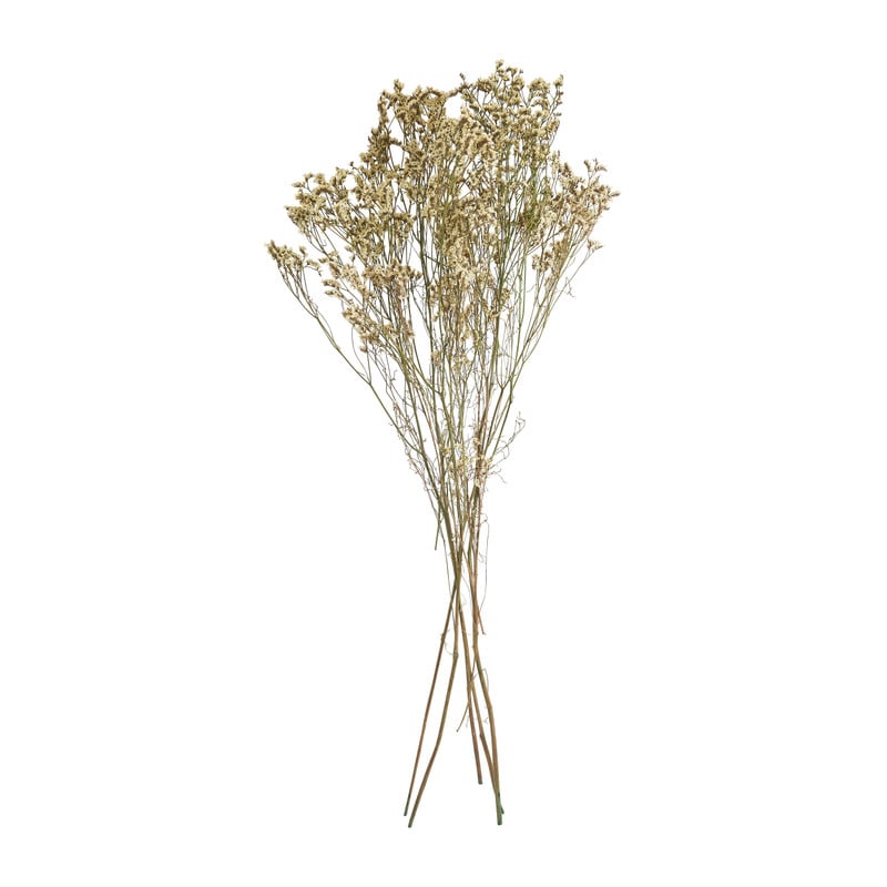 Gipskruid gedroogd - wit - 65 cm