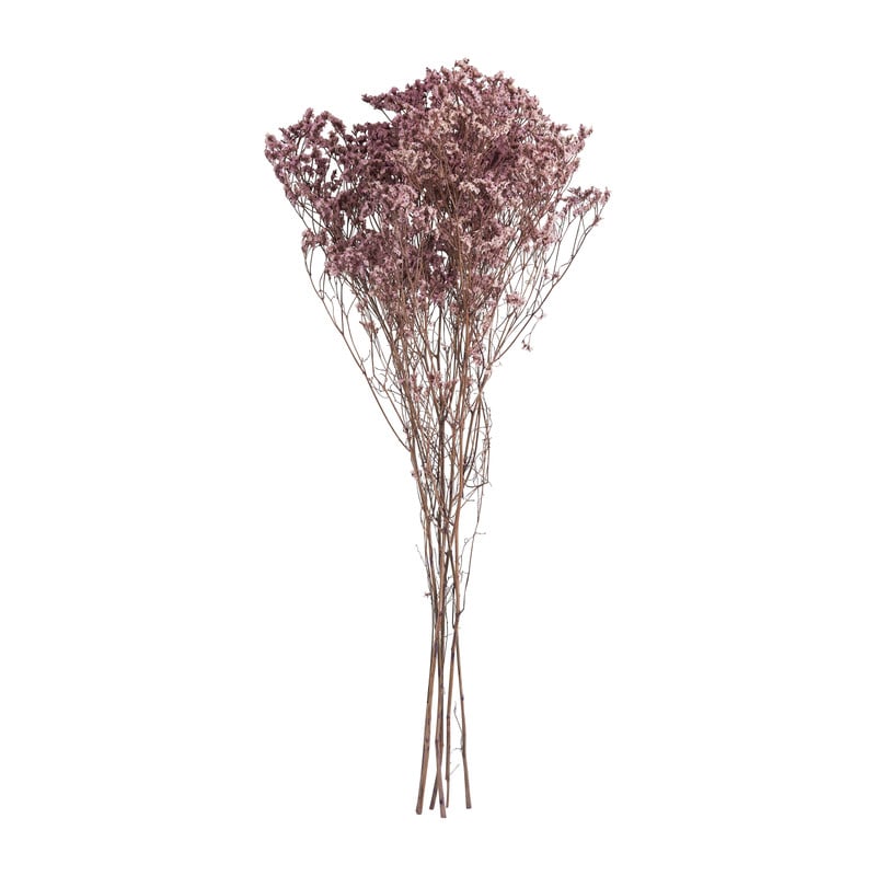 Droogbloem gipskruid - roze - 65 cm
