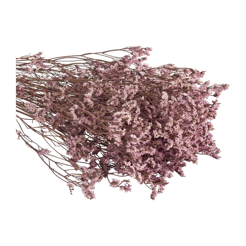 Droogbloem gipskruid - roze - 65 cm