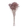 Droogbloem gipskruid - roze - 65 cm
