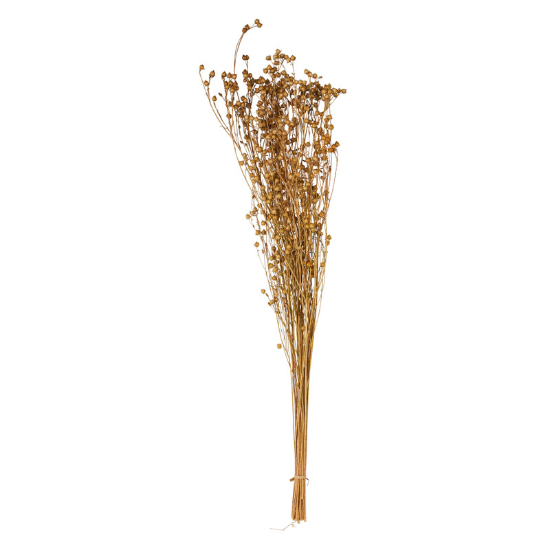 Gedroogd lijnzaad - naturel - 60 cm 