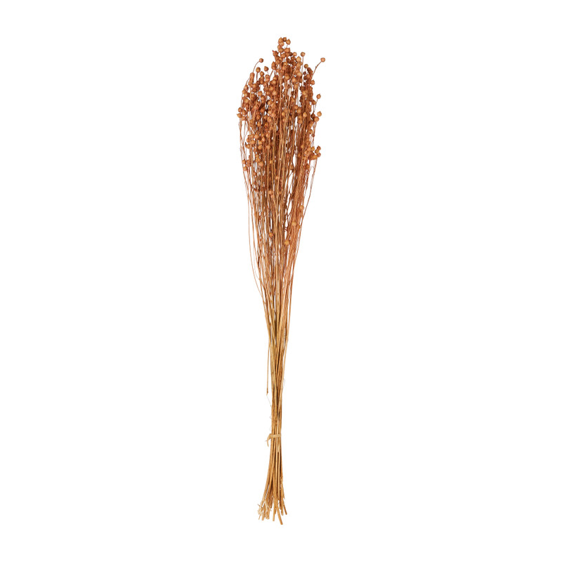 Gedroogd lijnzaad - roze - 60 cm 