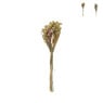 Droogbloem boeket - diverse varianten - 60 cm 