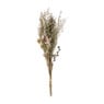 Droogbloem boeket - diverse varianten - 60 cm 