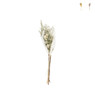 Droogbloemen boeket - diverse varianten 