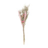 Droogbloemen boeket - diverse varianten 