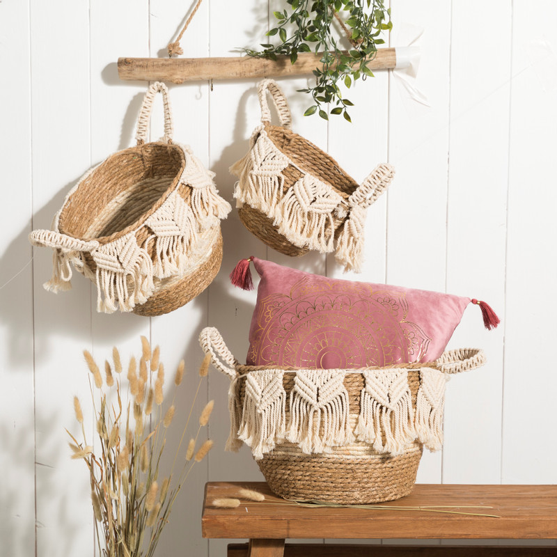 Lagurus - naturel - 60 cm 