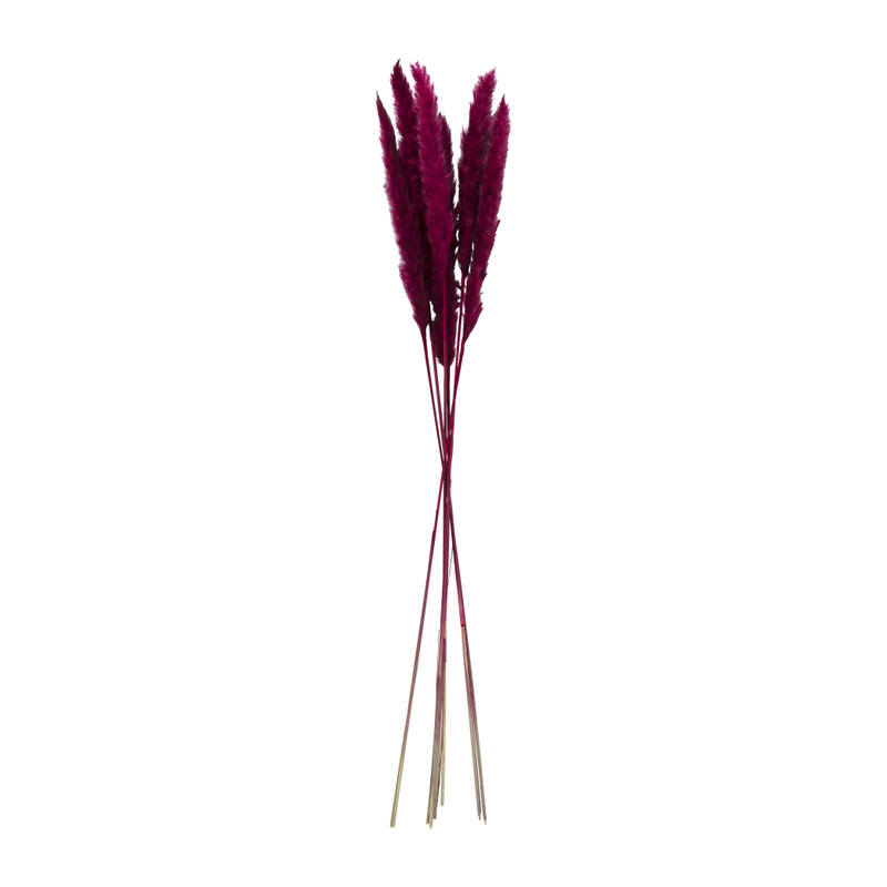 Pluim - bordeaux - 60 cm 