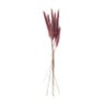Droogbloem - Pluim - lichtroze - 60 cm 